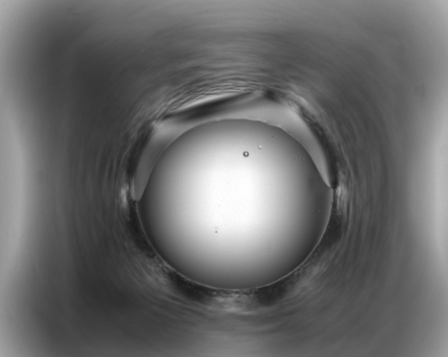 X0000087360125200704271444