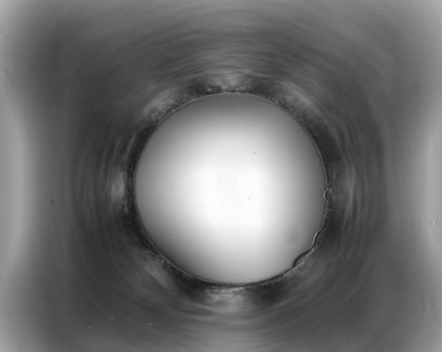 X0000087360132200704271444