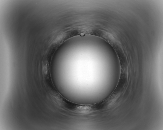 X0000087360133200704271444