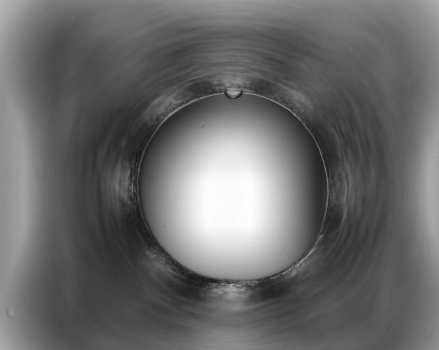 X0000087360140200704271444