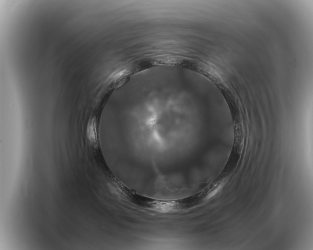 X0000087360143200704271444