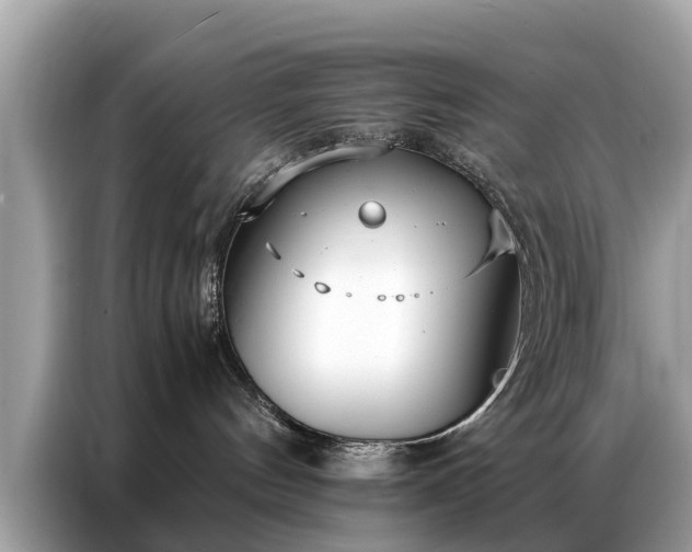 X0000087360144200704271444