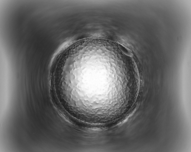 X0000087360149200704271443