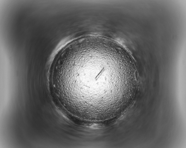 X0000087360151200704271443