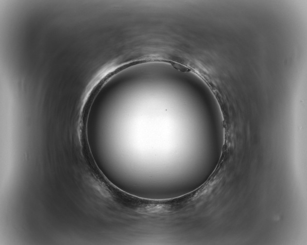 X0000087360152200704271443