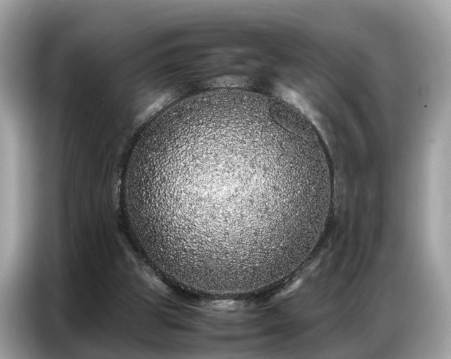 X0000087360153200704271443