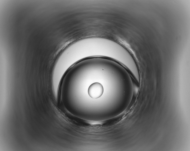 X0000087360154200704271443