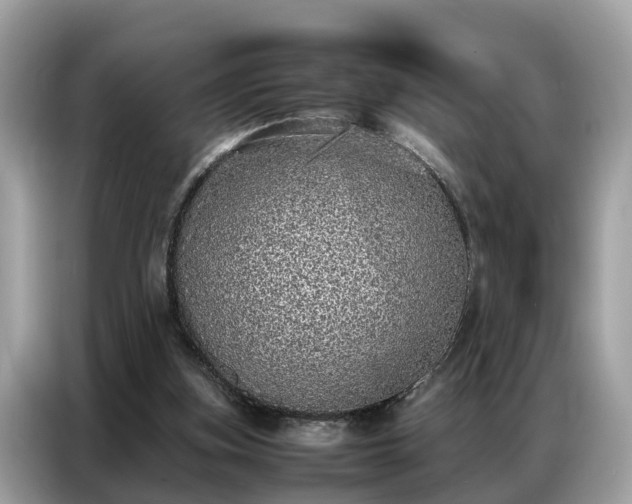 X0000087360155200704271443