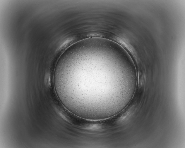 X0000087360157200704271443