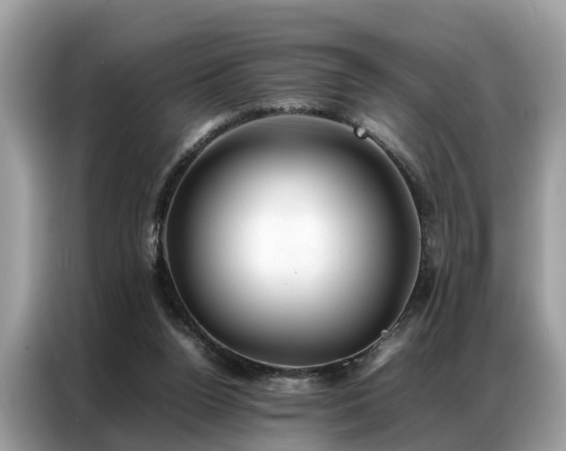 X0000087360160200704271443