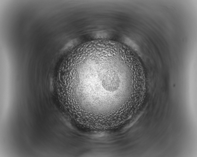 X0000087360161200704271443