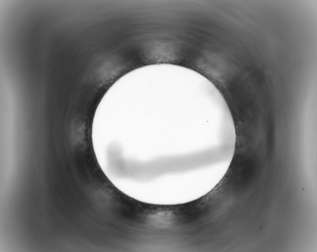 X0000087360162200704271443