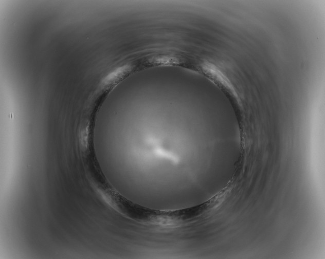 X0000087360163200704271443