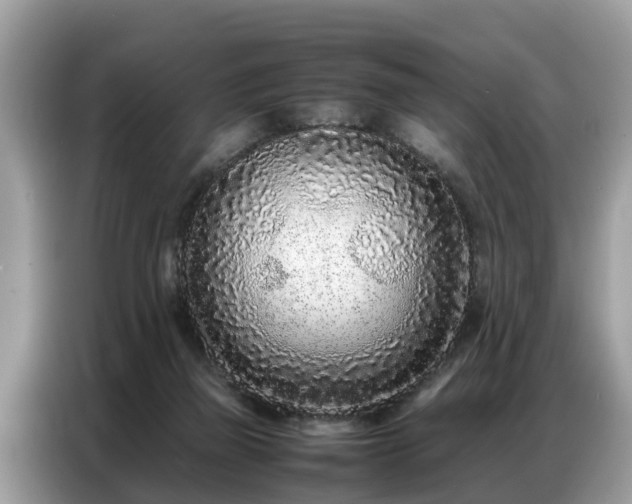 X0000087360165200704271443