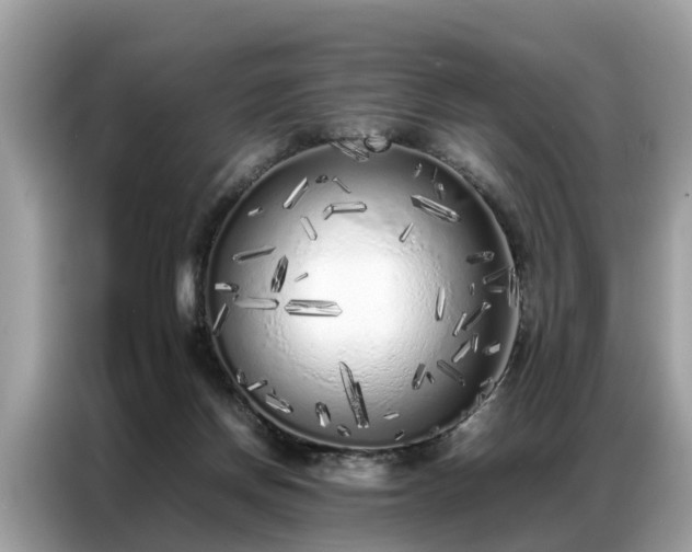 X0000087360166200704271443