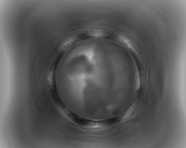 X0000087360167200704271443