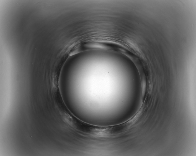 X0000087360170200704271443