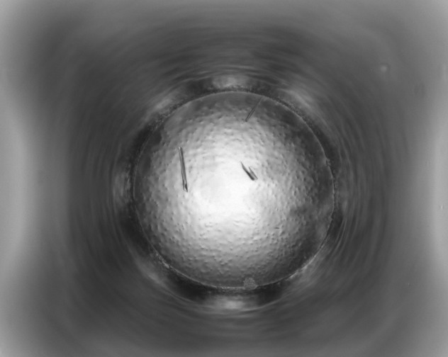 X0000087360171200704271443