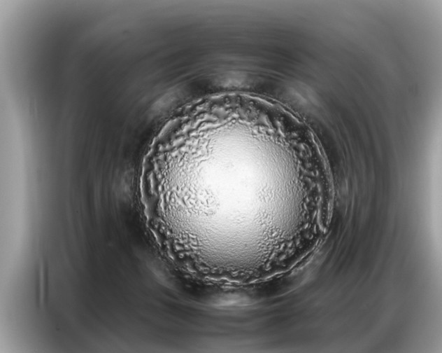 X0000087360175200704271443