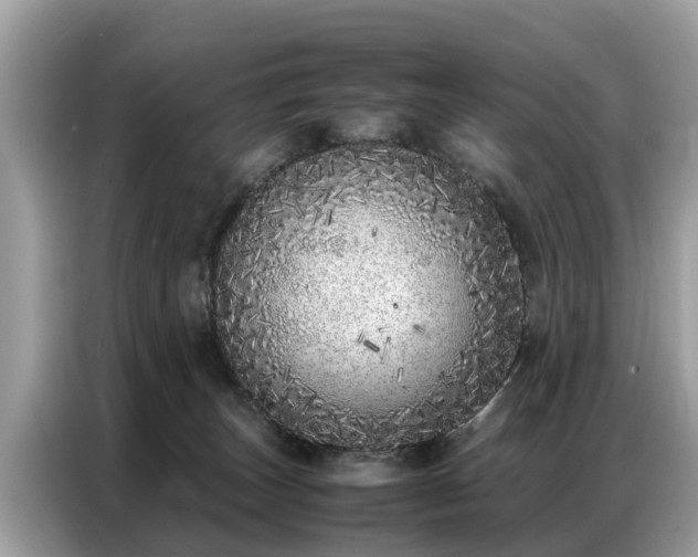 X0000087360179200704271443