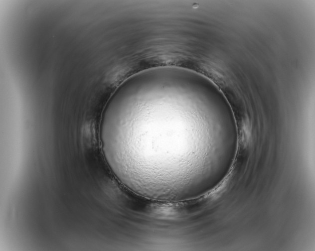 X0000087360182200704271444