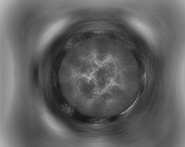 X0000087360191200704271444