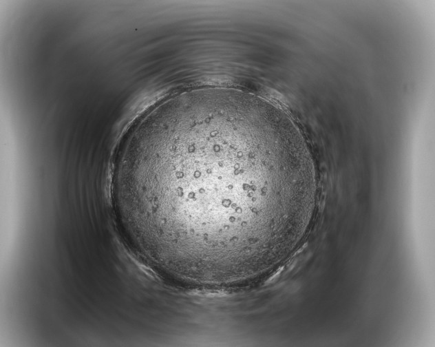 X0000087360194200704271443