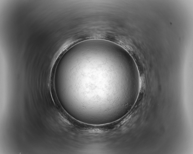 X0000087360195200704271443