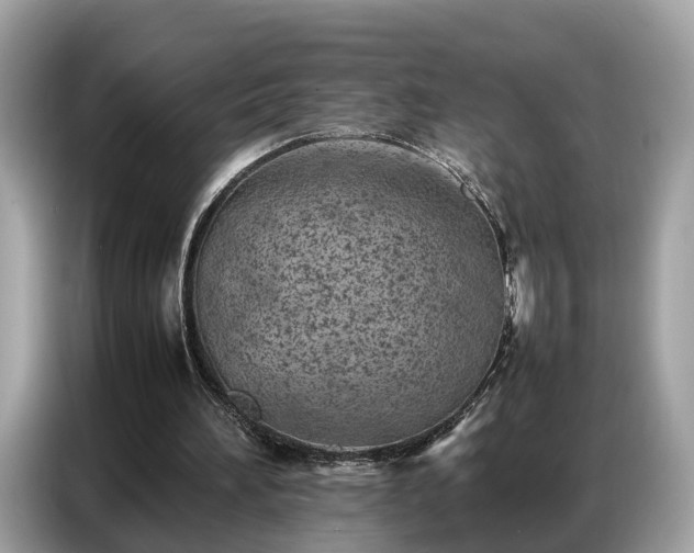 X0000087360196200704271443