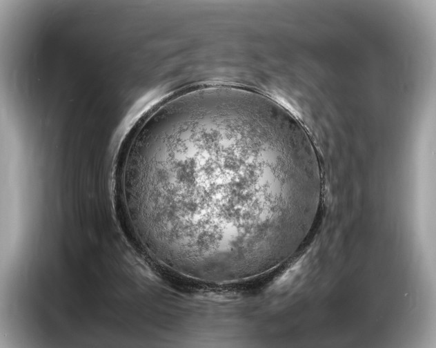 X0000087360199200704271443