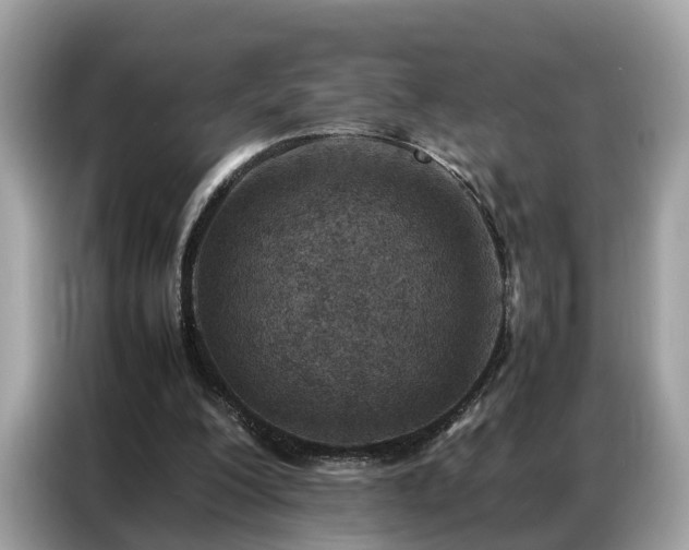 X0000087360200200704271443