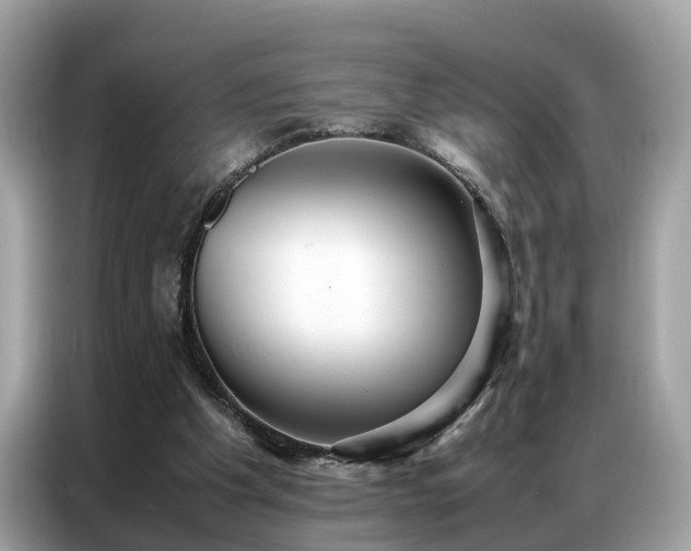 X0000087360201200704271443