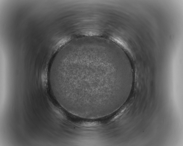 X0000087360202200704271443