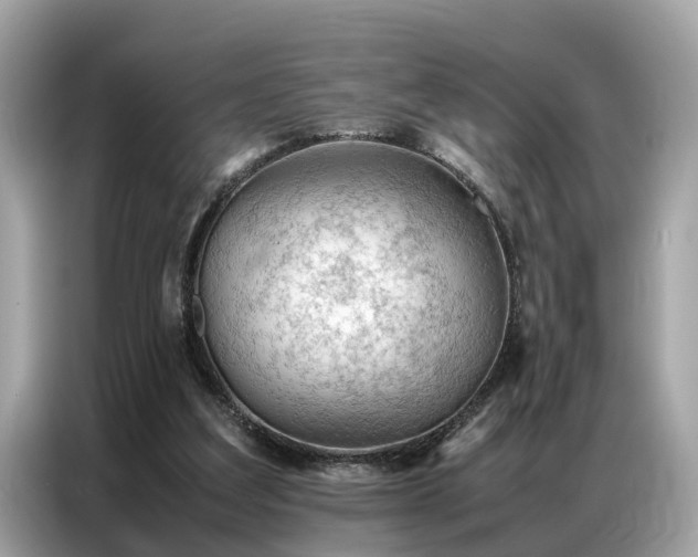 X0000087360203200704271443