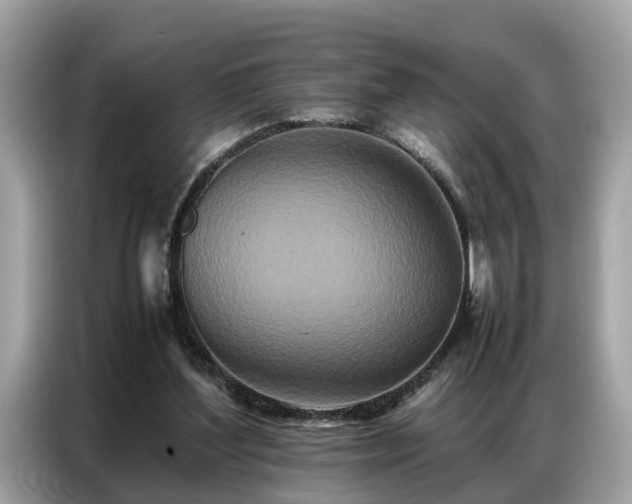 X0000087360204200704271443