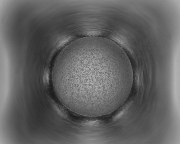 X0000087360206200704271443