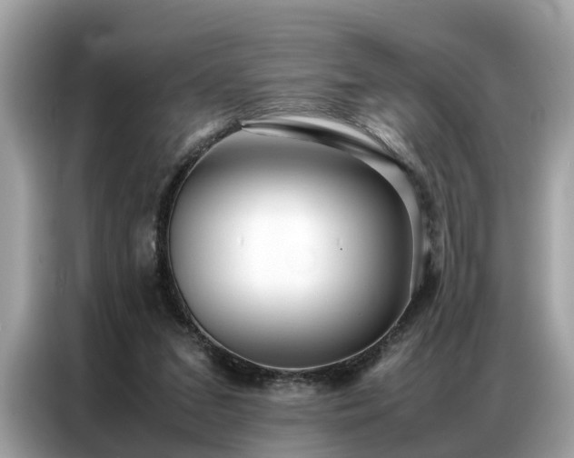 X0000087360207200704271443