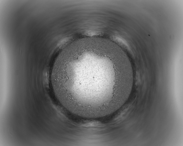 X0000087360210200704271443