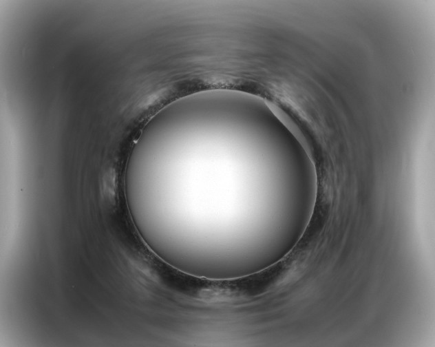 X0000087360211200704271443