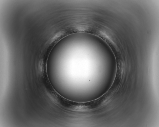 X0000087360212200704271443