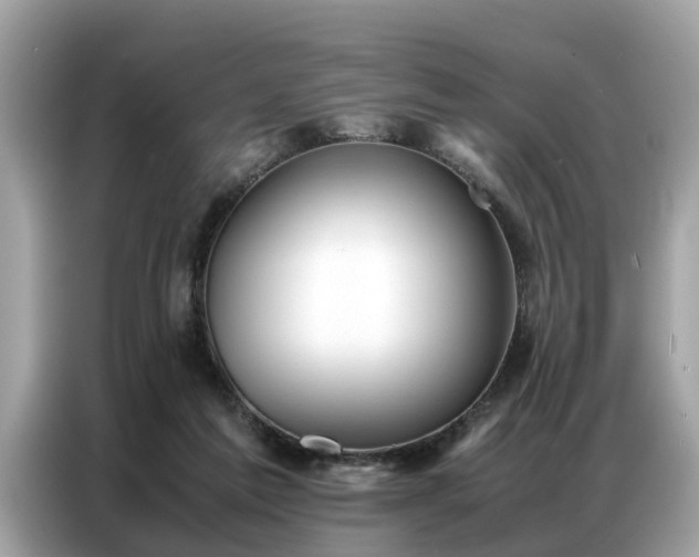 X0000087360213200704271443