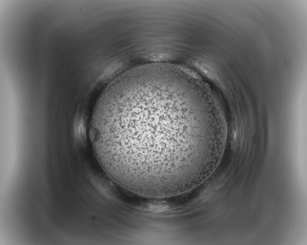 X0000087360214200704271443