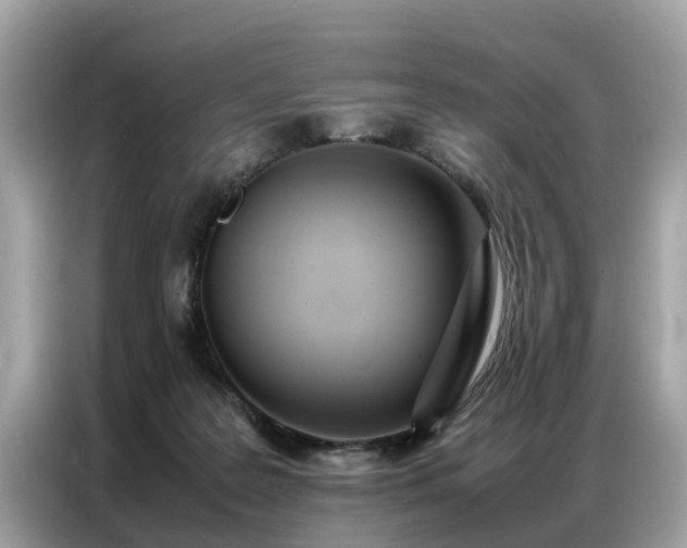 X0000087360219200704271443