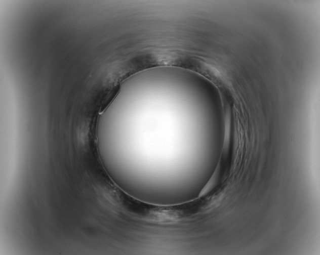 X0000087360221200704271443