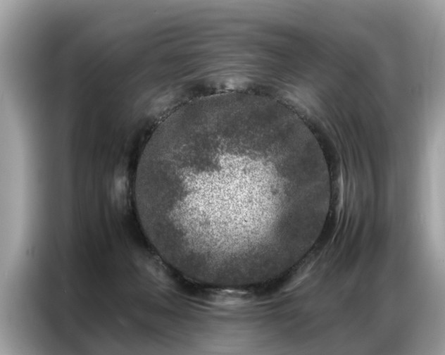 X0000087360222200704271443