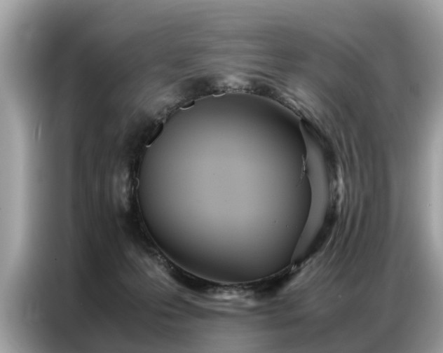 X0000087360223200704271443