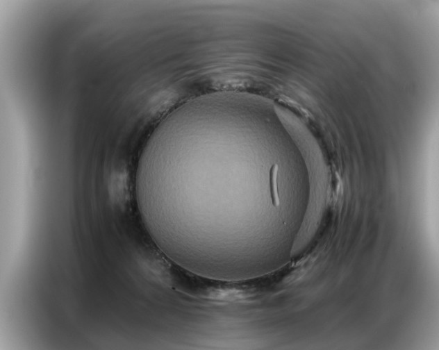 X0000087360224200704271443