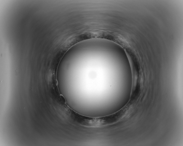 X0000087360225200704271443