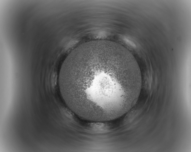 X0000087360230200704271443