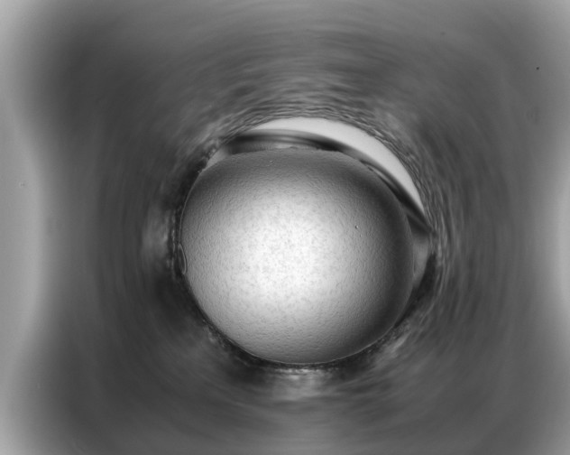 X0000087360233200704271443